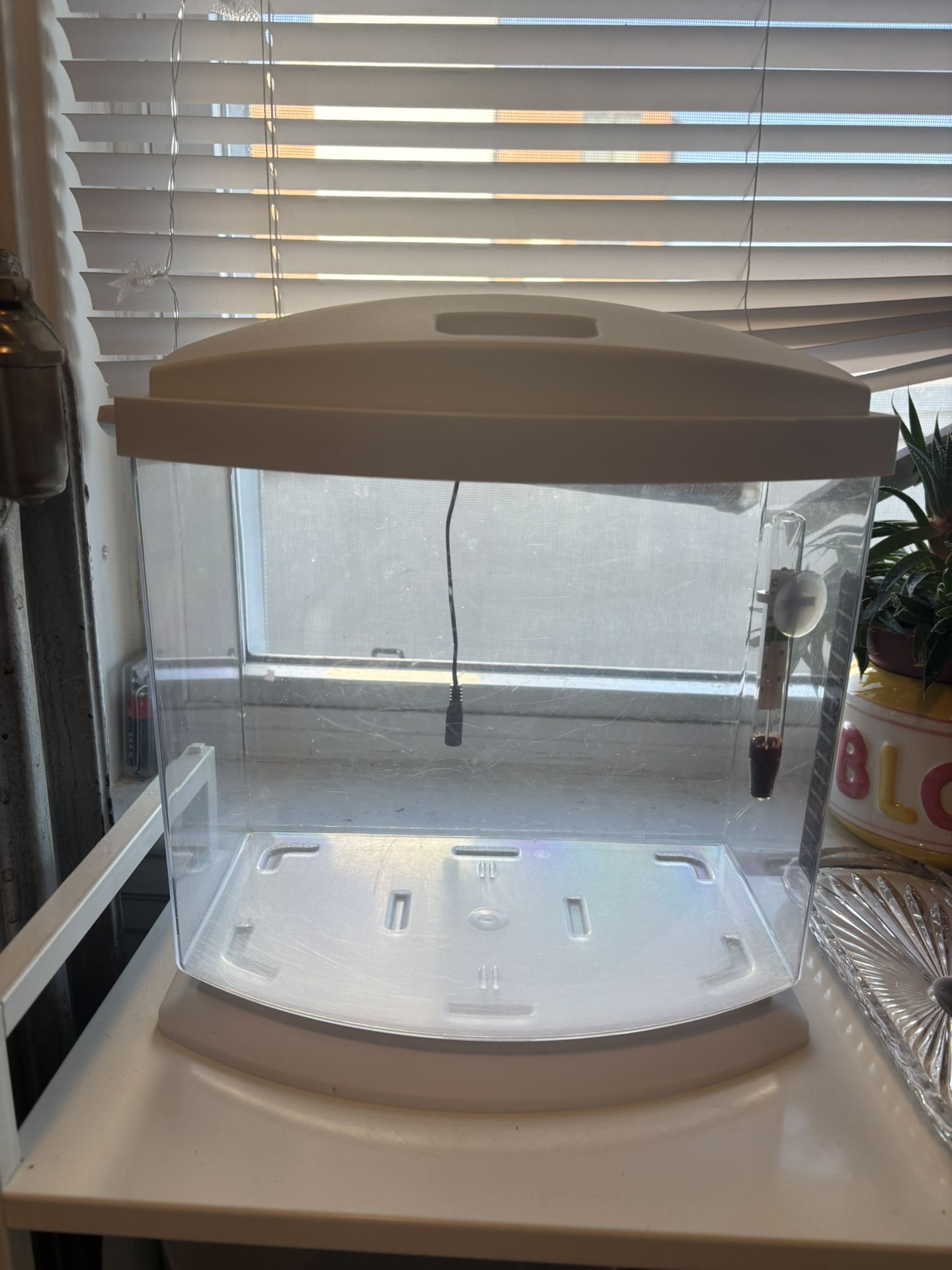  Aquarium with supplies, food & live plant!!