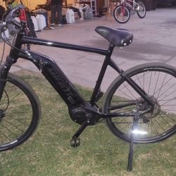 E Giant Bike