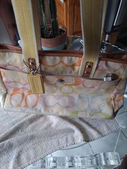 Small coach purse