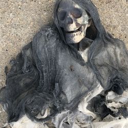 Scary Skeleton For Halloween Decoration