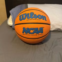 Wilson Basketball 