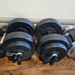 Dumbbell Set & Pull-up Bar