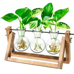 Ivolador Desktop Propagation Station, Plant Terrarium, Plant Lover Gifts for Women