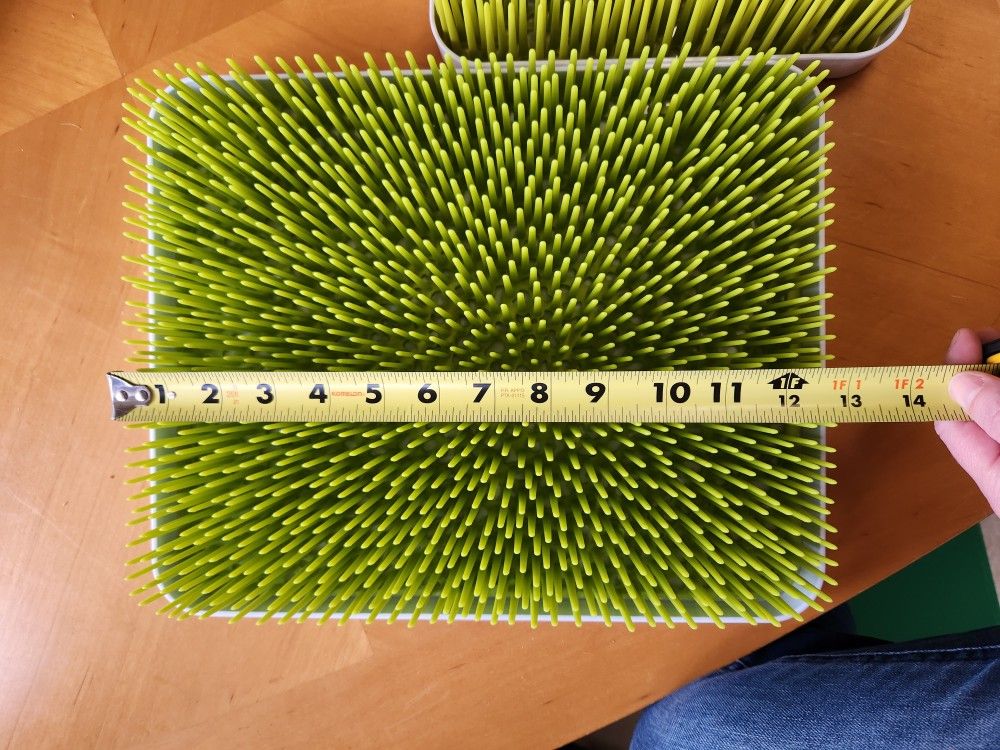 Boon Grass (Two)