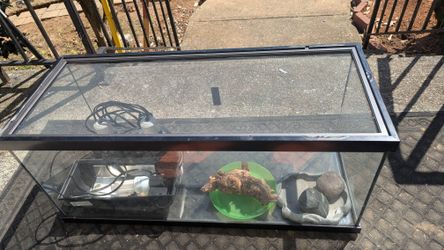 Cage For Reptiles
