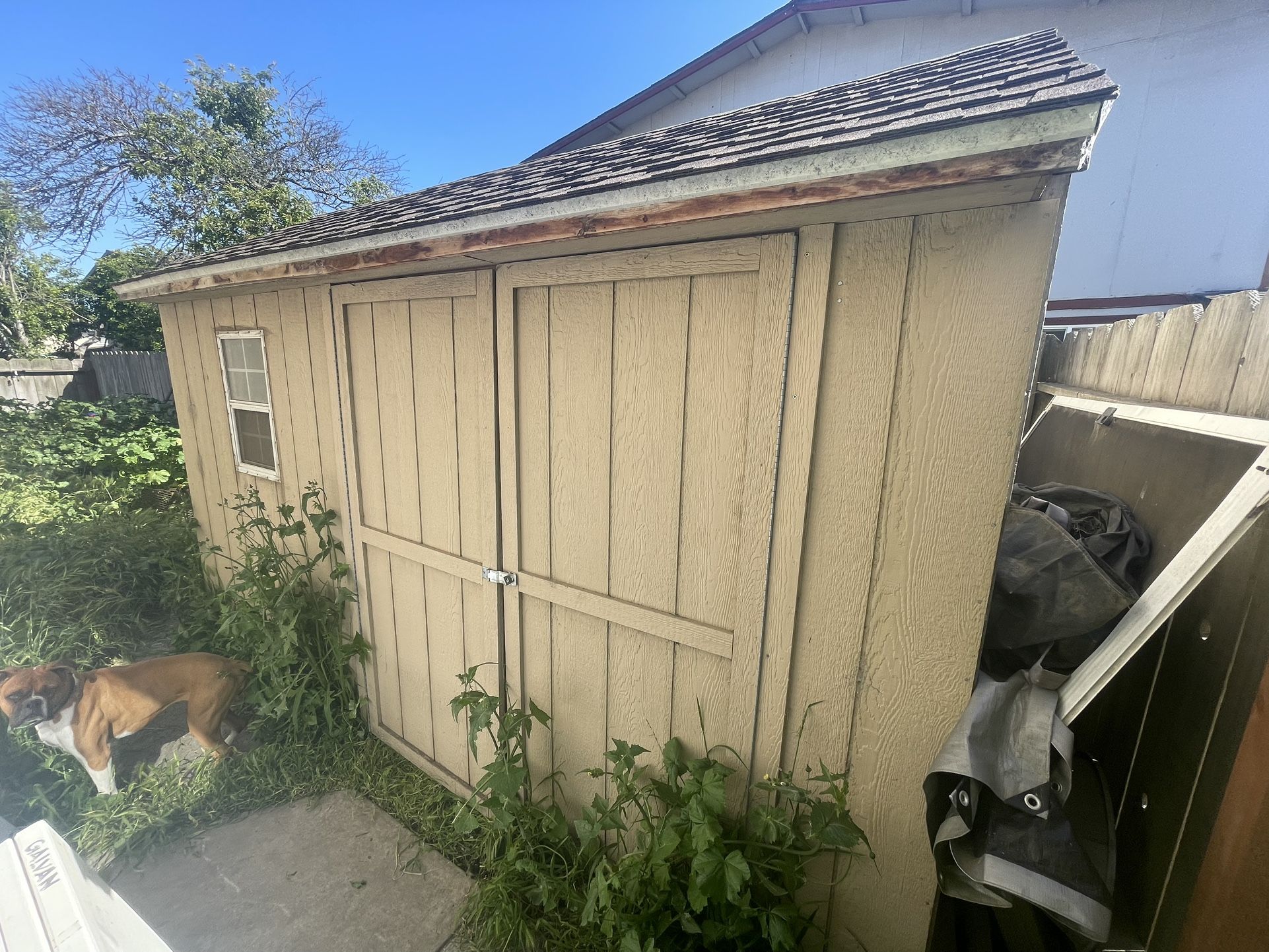 12x8 Wooden shed