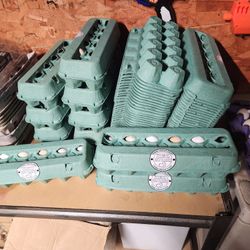 Farm Fresh Eggs