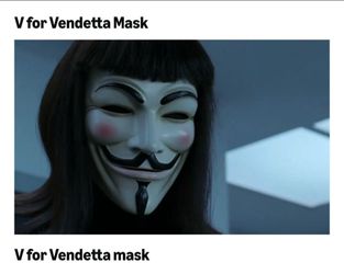 V for vendetta/Anonymous Halloween costume mask