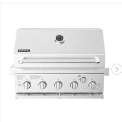 SPIRE 5-Burner Built-In Propane Gas Island Grill Head in Stainless Steel with Rear Burner