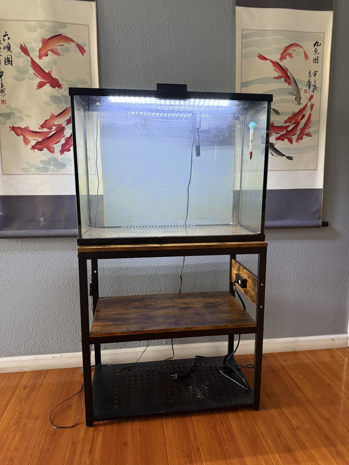29 Gallon fishtank