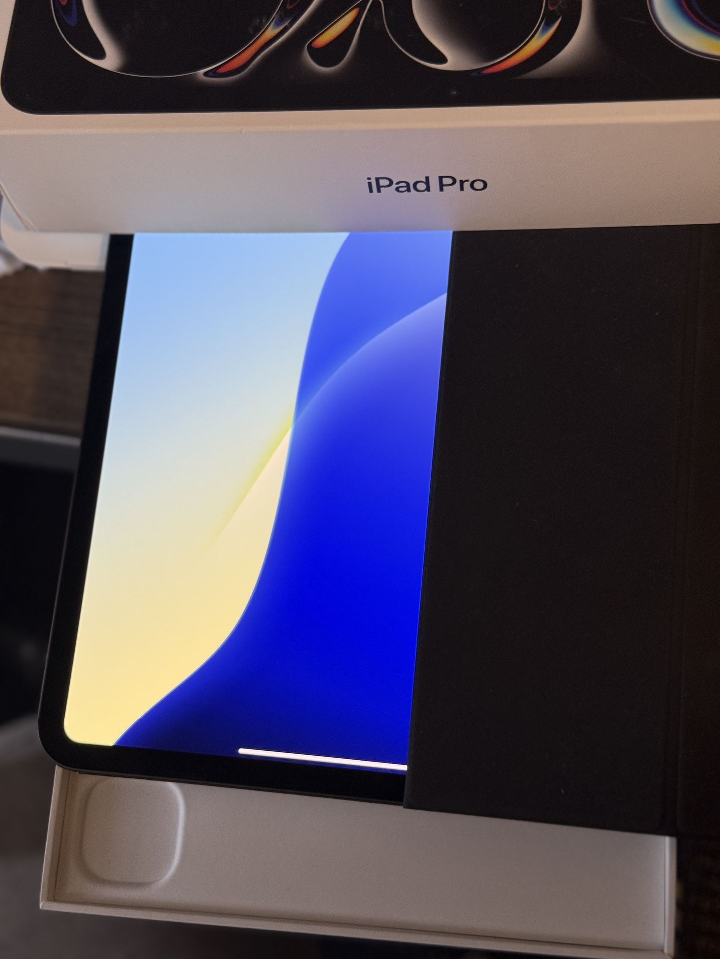 11 Inch iPad Pro M4 250 Gigs With Case, Three Weeks Old.