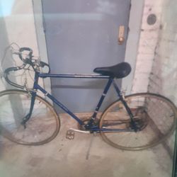 Panasonic Speed Bicycle 