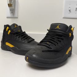 Air Jordan 12’s Taxi’s 