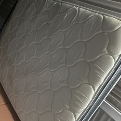 Queen Mattress And Box