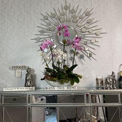 orchids plant for sale 
