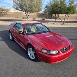 2000 Ford Mustang