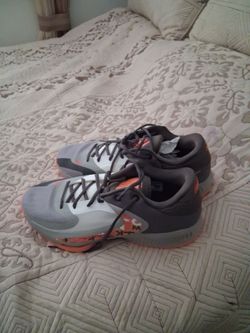 Giannis shoes