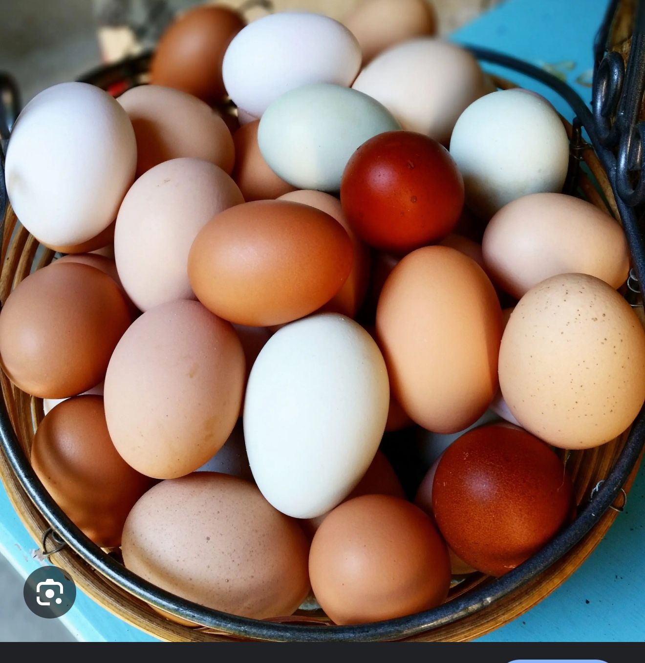 Farm Fresh Eggs Available