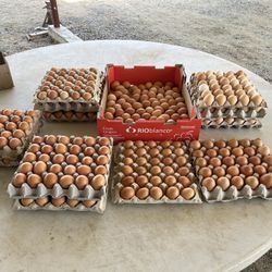 Huevos Frescos (orgánicos) $5x12