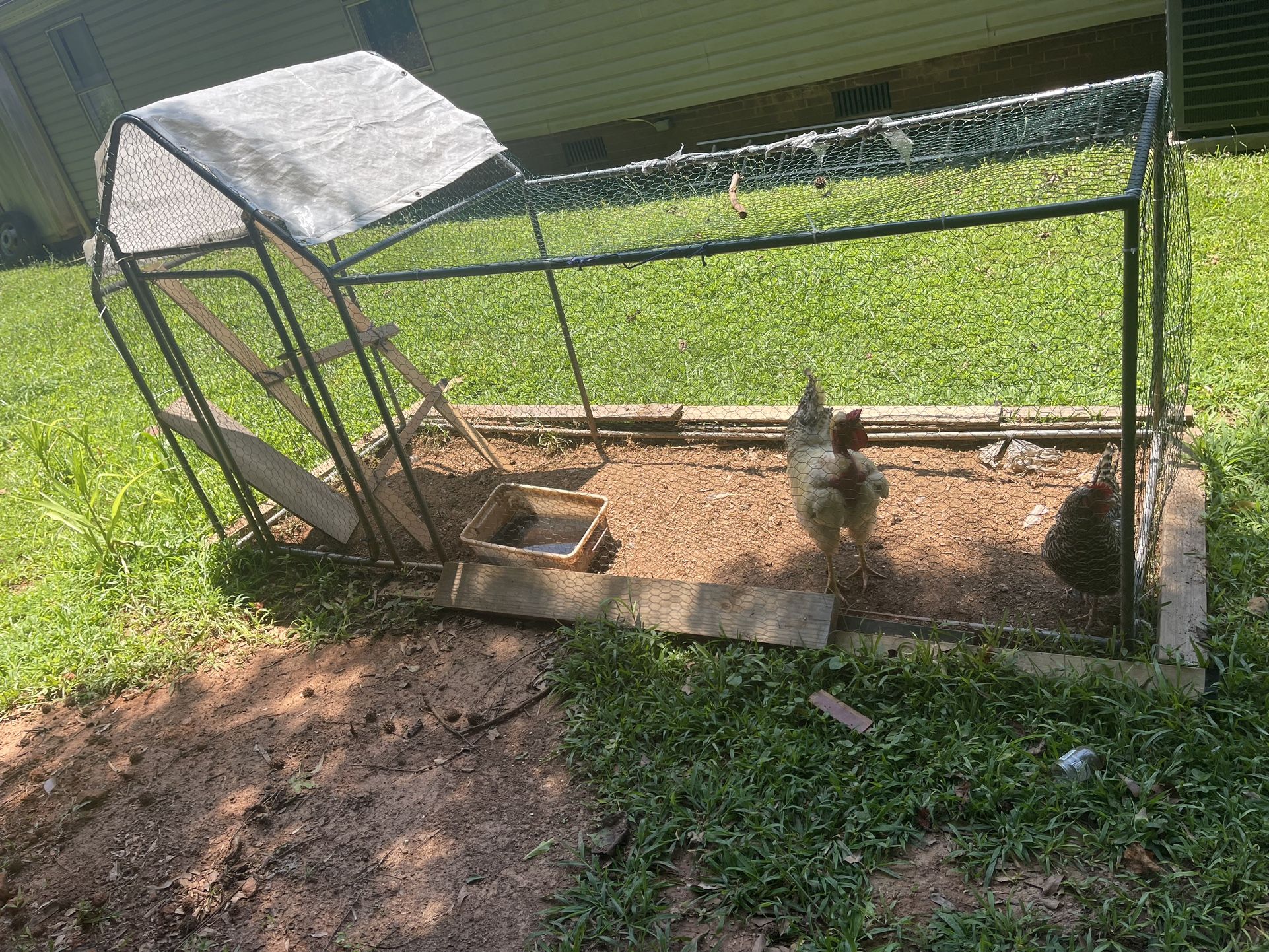 Chicken House With The Rooster And The Chicken Including