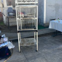 Bird Cage