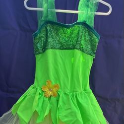 Fairy costume 