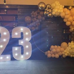 Balloons & Numbers  Decorations 