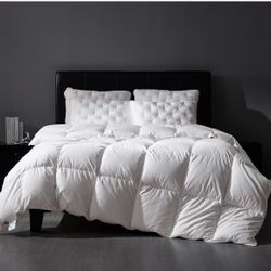 All-Season Queen Comforter insert -90”x90” with Cotton Cover – White
