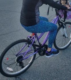 Mountain bike