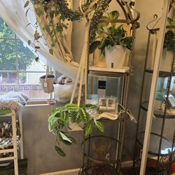 Glass And Metal Round Shelf