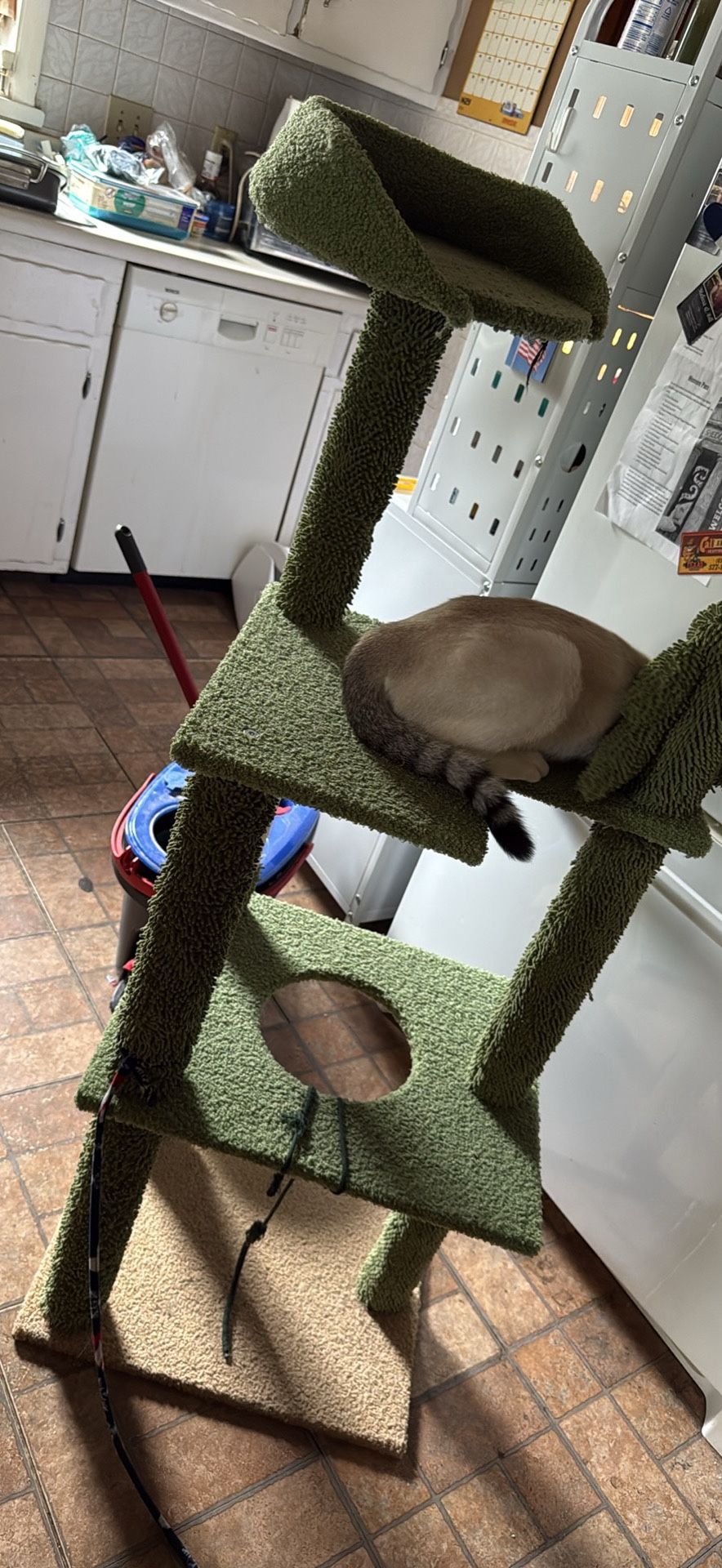 Cat Tree