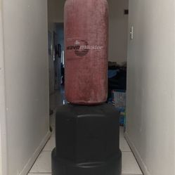 Portable punching bag