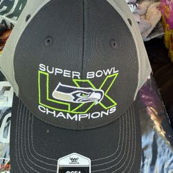 New Seattle Seahawks Super Bowl Champions Hat 