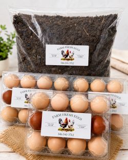 Speckled Sussex eggs & More!