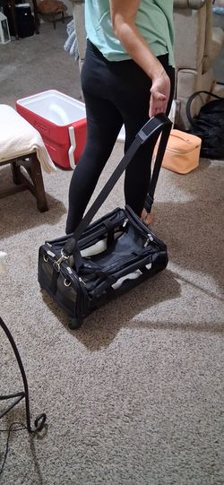 Airline Pet Carrier