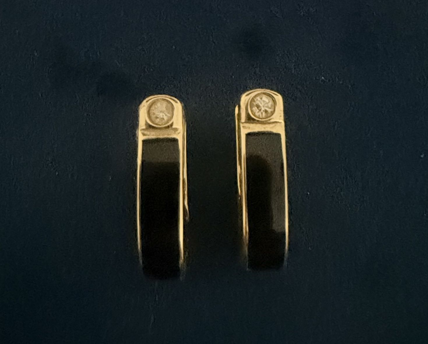 Coach Earrings