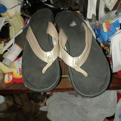 Ohikal Sz8