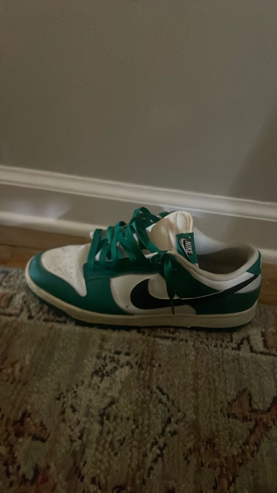 Nikes Sb’s