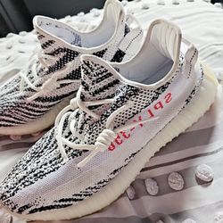 Yeezy Zebras