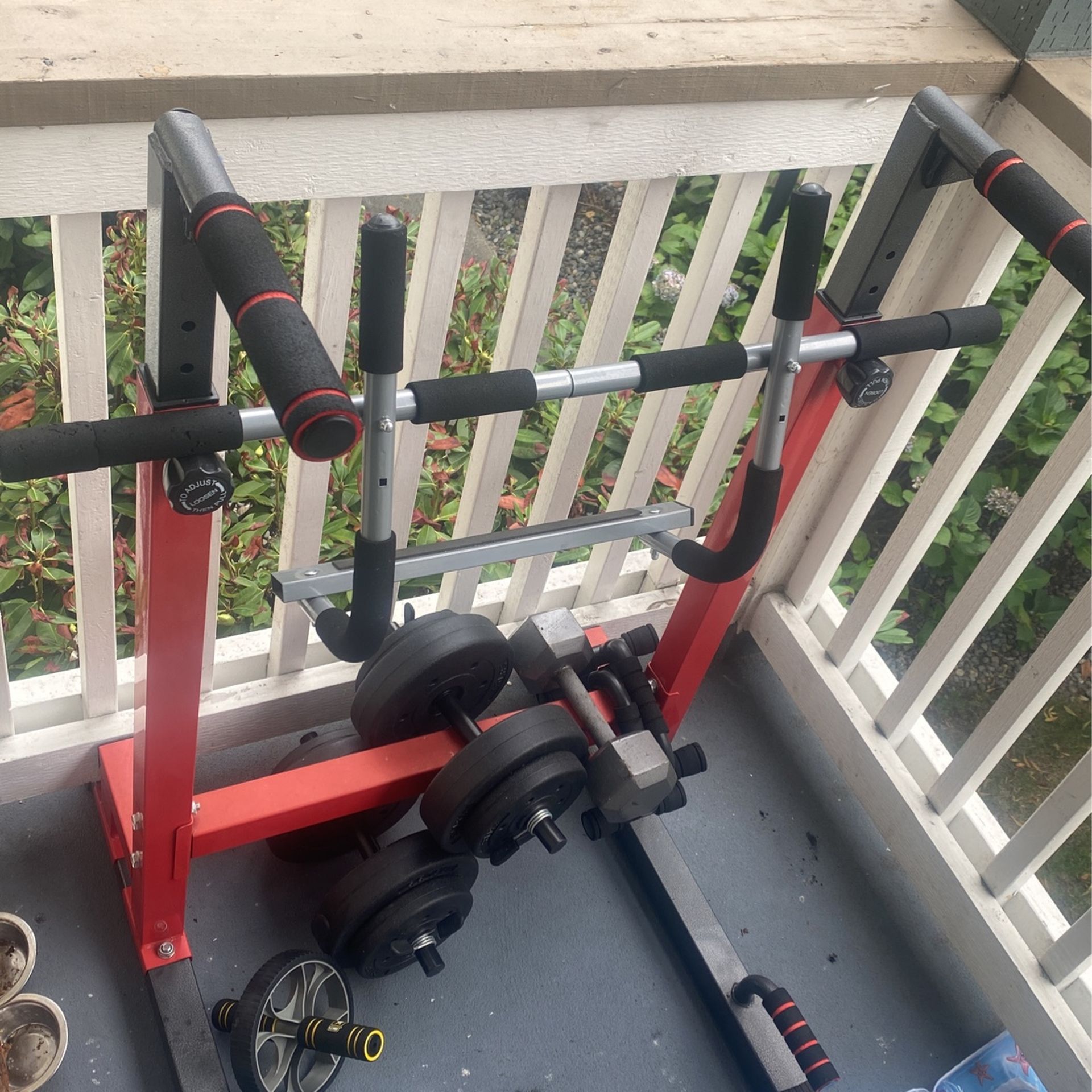 Dip Bar , Door Frame Pull Up Bar , 2 20 Pound Cement Filled Dumbbells , 1 20 Pound Steel Dumbbell And 24kg (53lbs) Apollo Kettlebell The