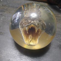 Mid Century Lucite Paperweight