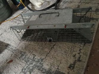 Cage