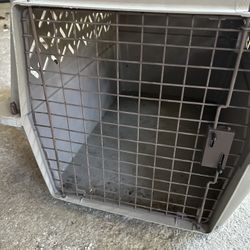 Kennel Cab