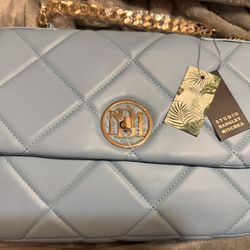 Badgley Mischka Bag (New)