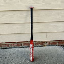 Easton 30” Rampage Baseball Bat