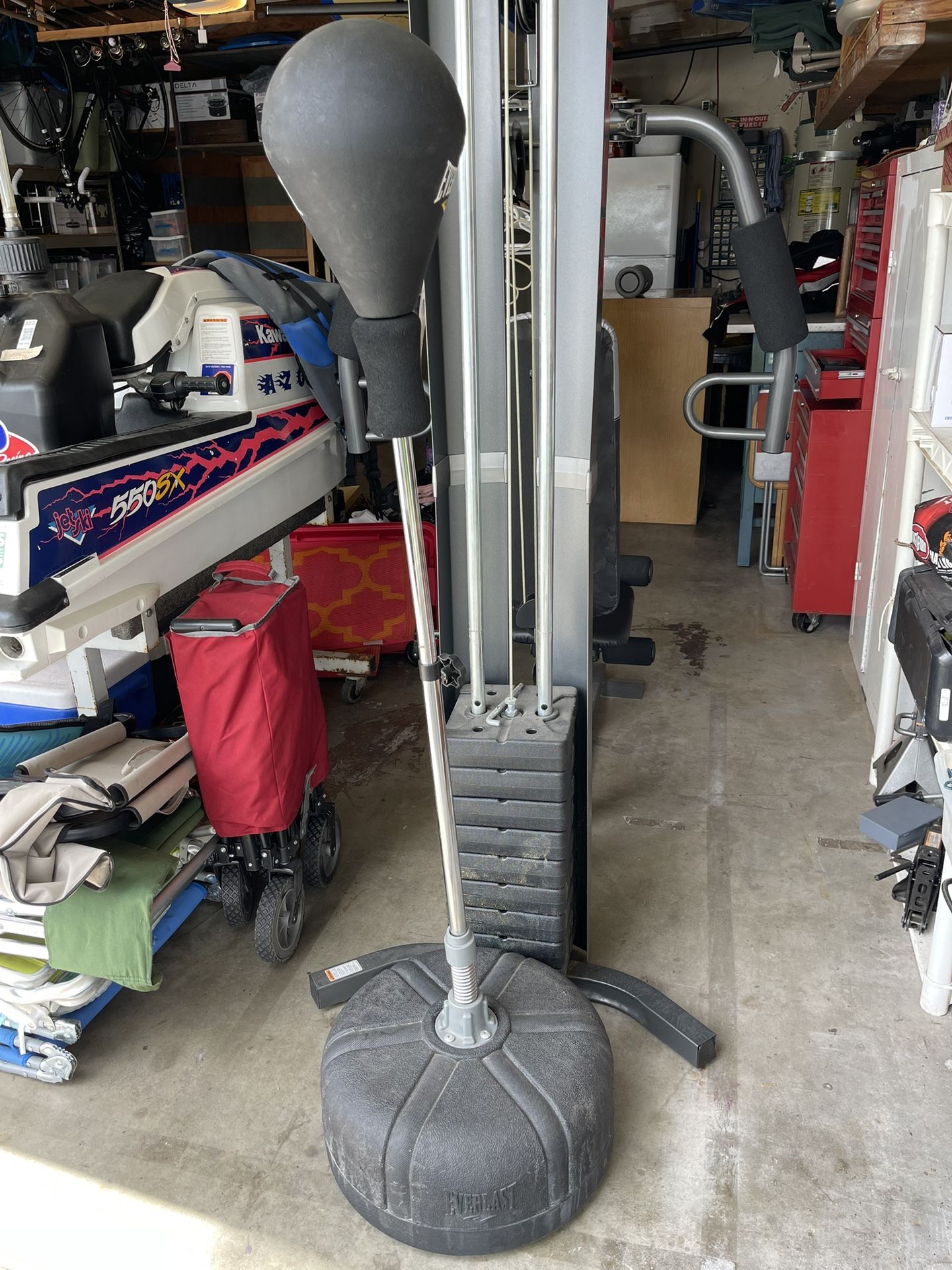 Everlast Punching Bag 