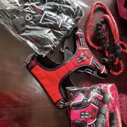 3m Dog Harness W Leash High Quality