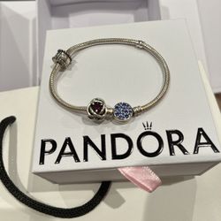Pandora Bracelet & Charm