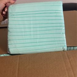 Pee Pad Each Pack Has 15 Inside Each Pack Box Has 4 Pls
