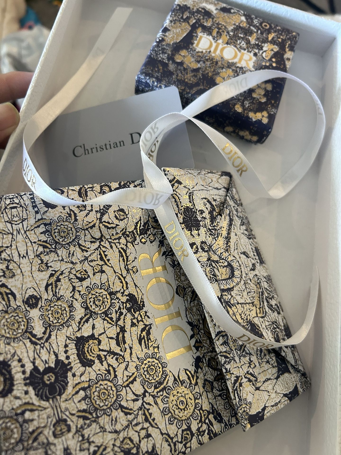 Dior Bag